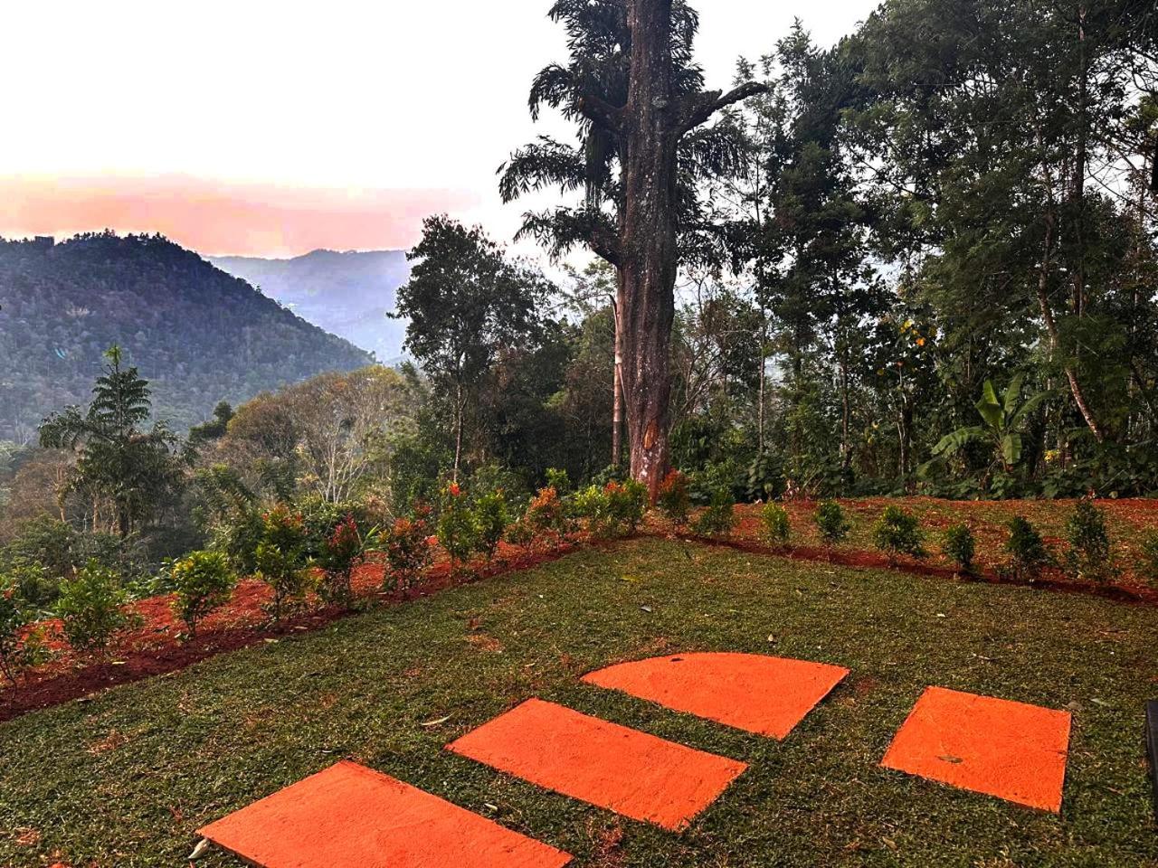 Viceroy Luxury Mountain Resort And Spa ムンナール エクステリア 写真